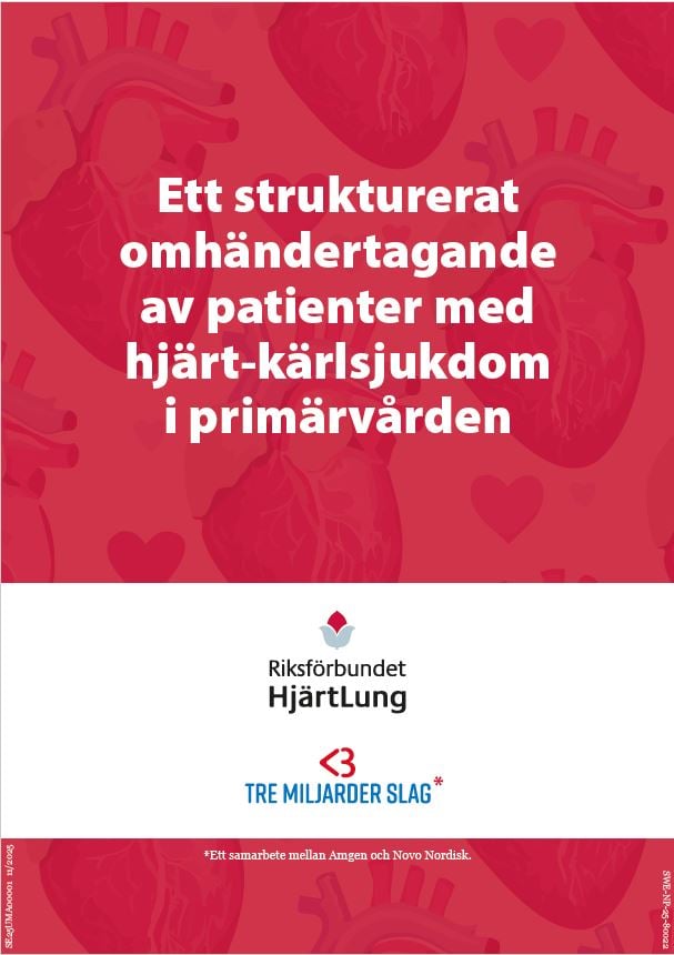 Rapporten_ Ett strukturerat omhändertagande.JPG