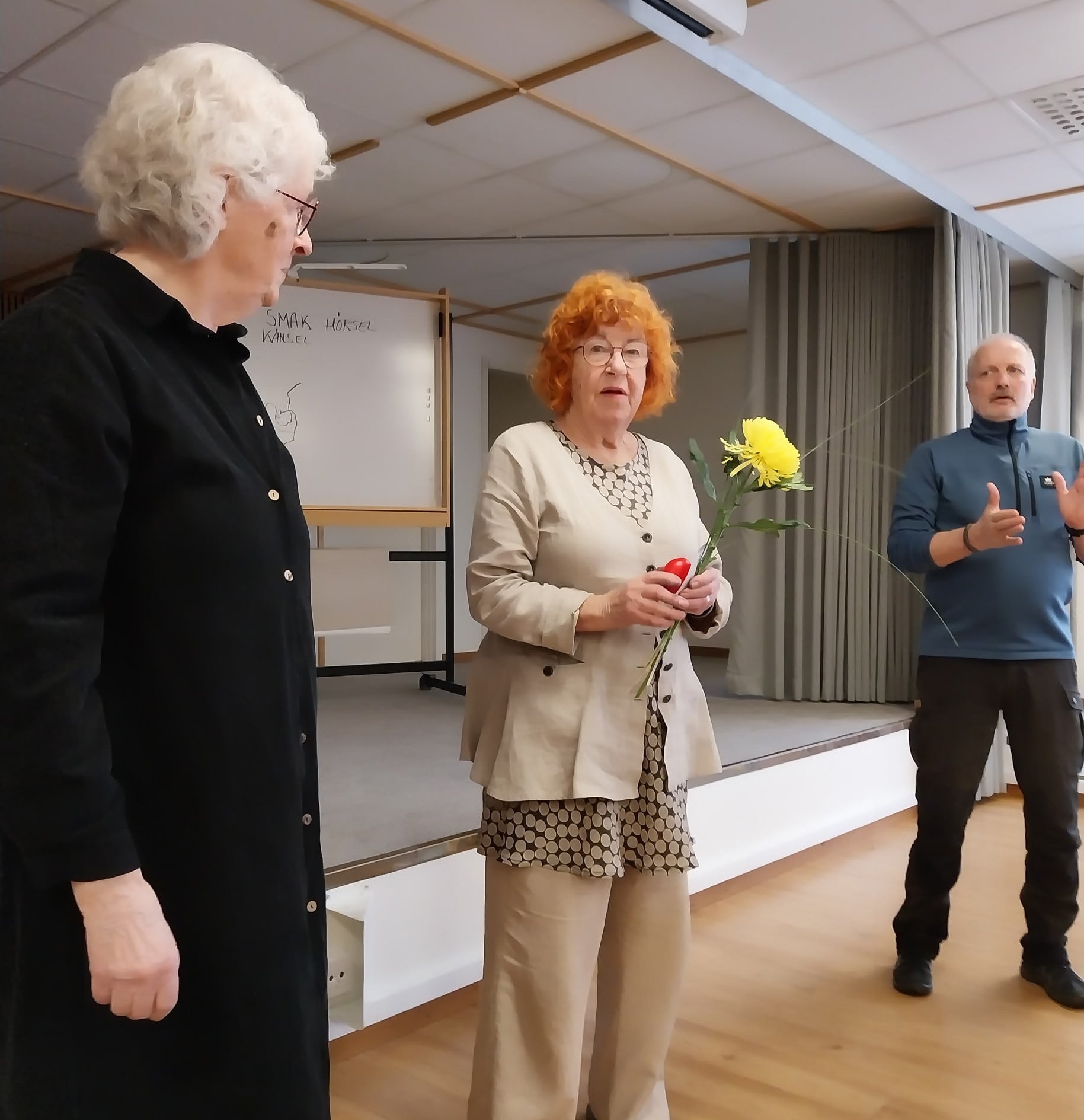 Lisbet medlemsmöte 1.jpg