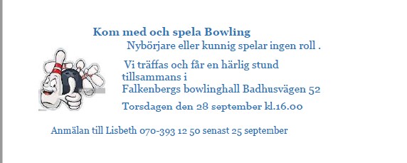 Skärmbild 2023-09-10 100413.jpg