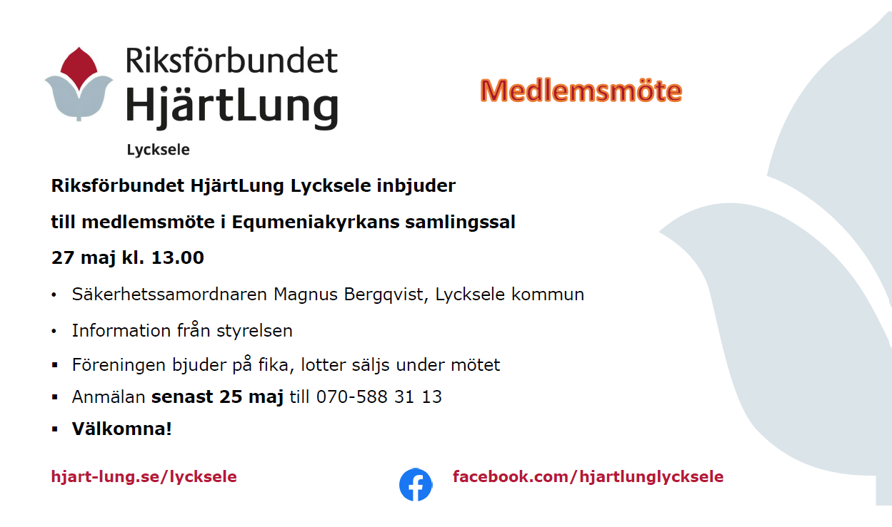 Medlemsmöte 250527