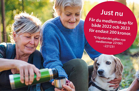 Hösterbjudande