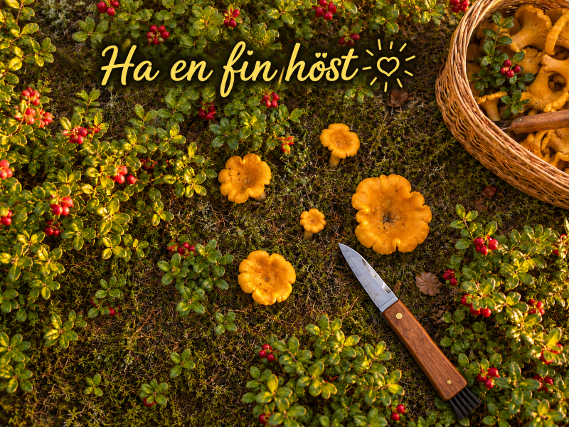 Höst.png