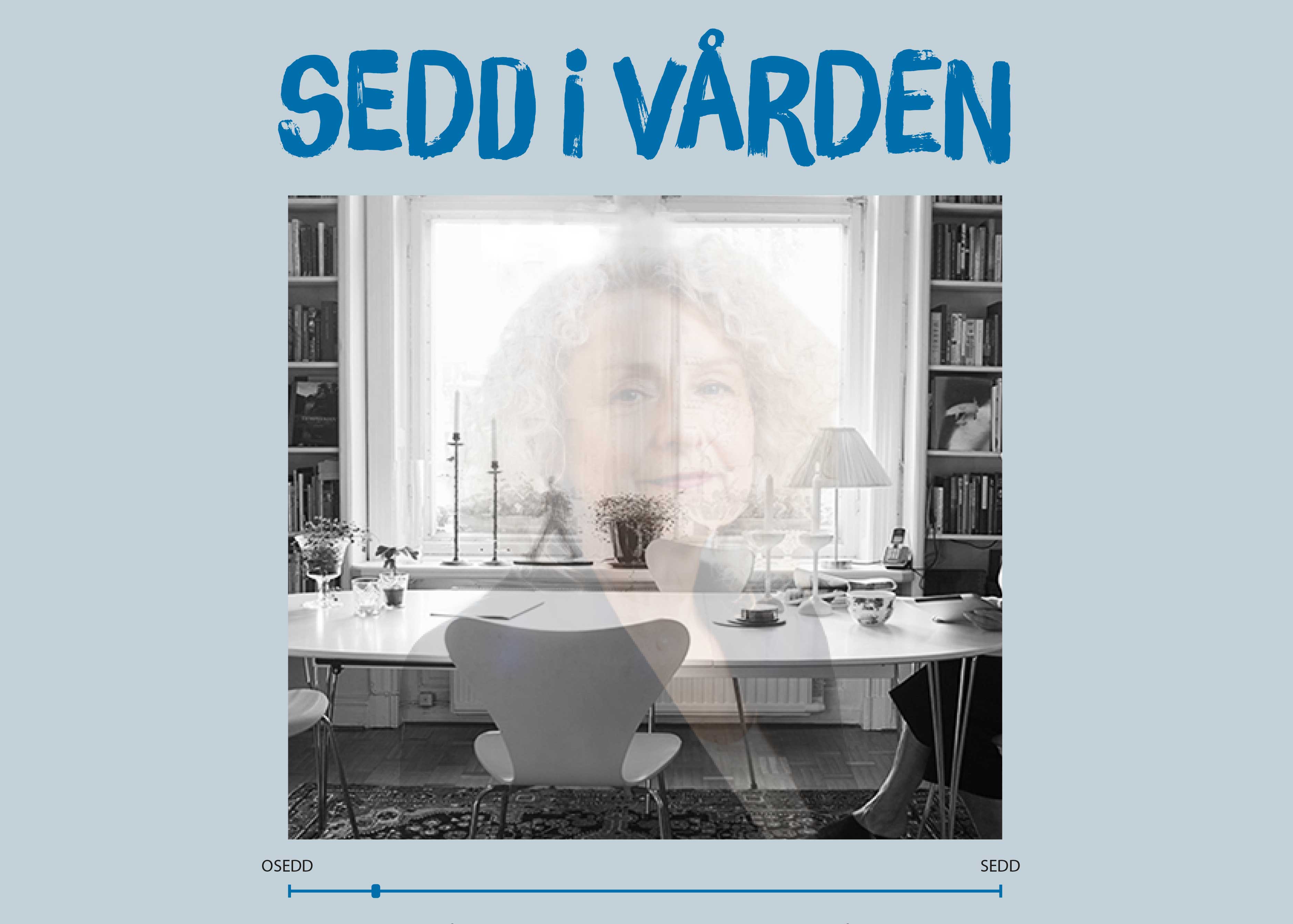 Sedd i vården.