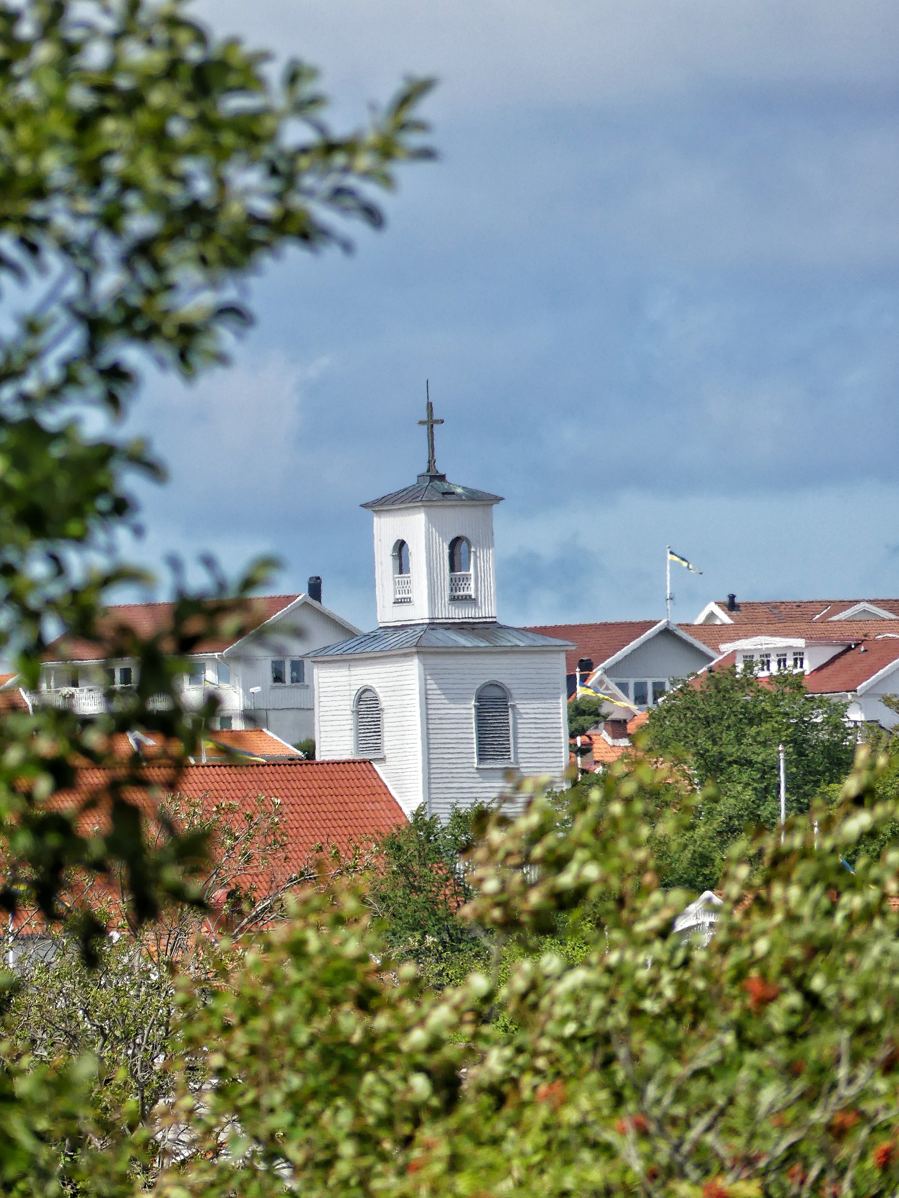 P1150137-01.jpg