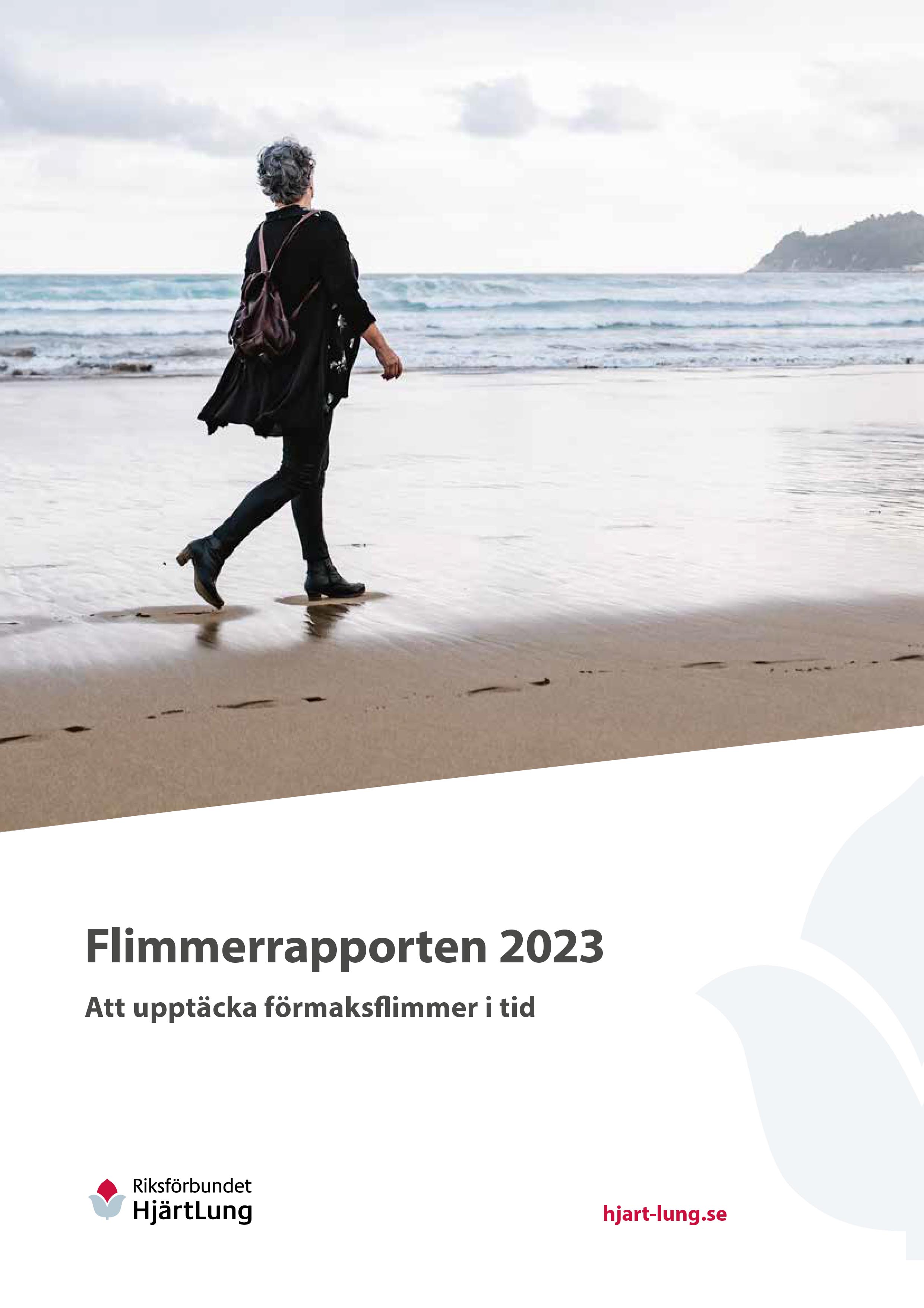 Flimmerrapport 2023_ettabild.jpg