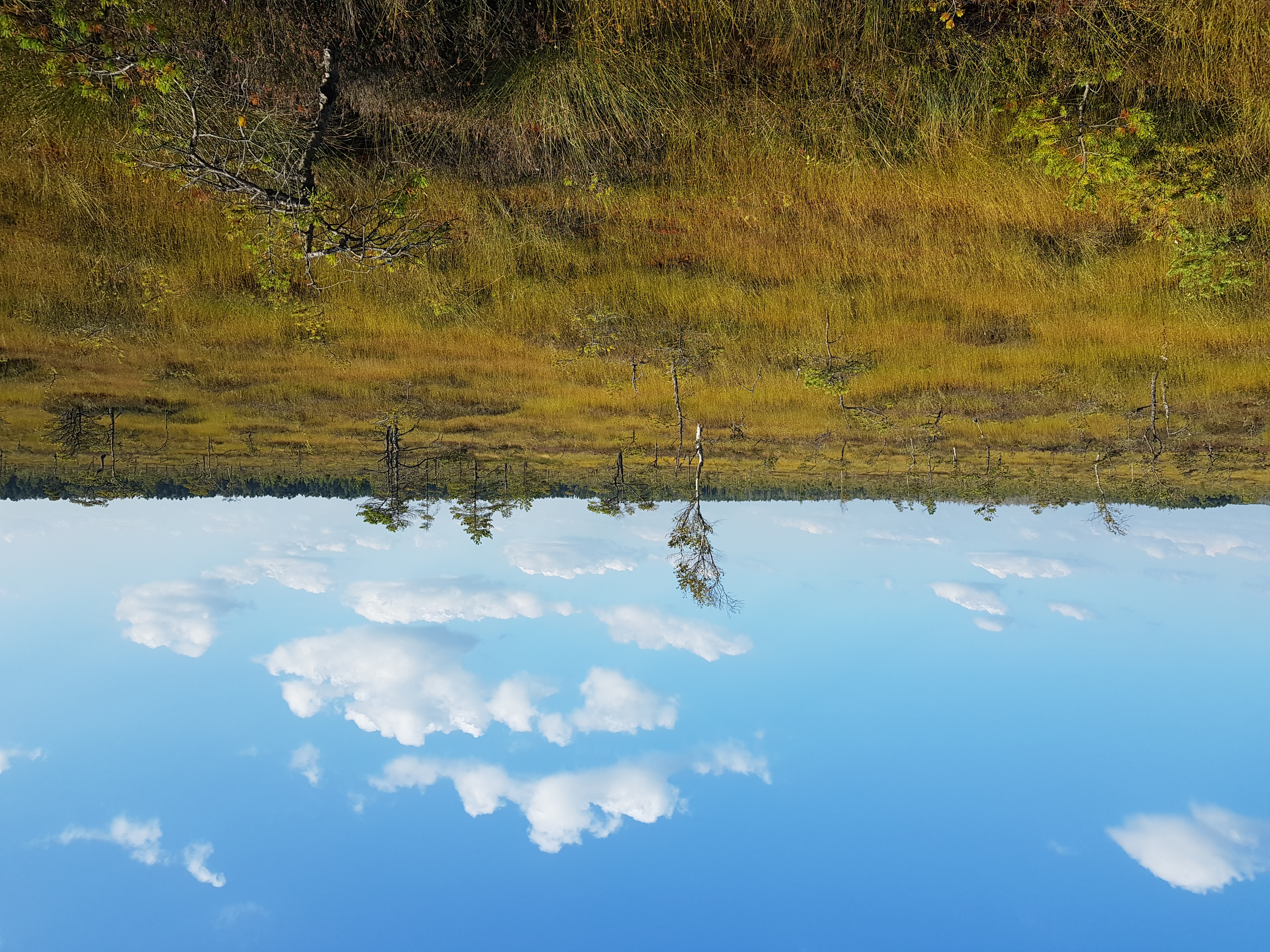 20250910_160656 (002).jpg