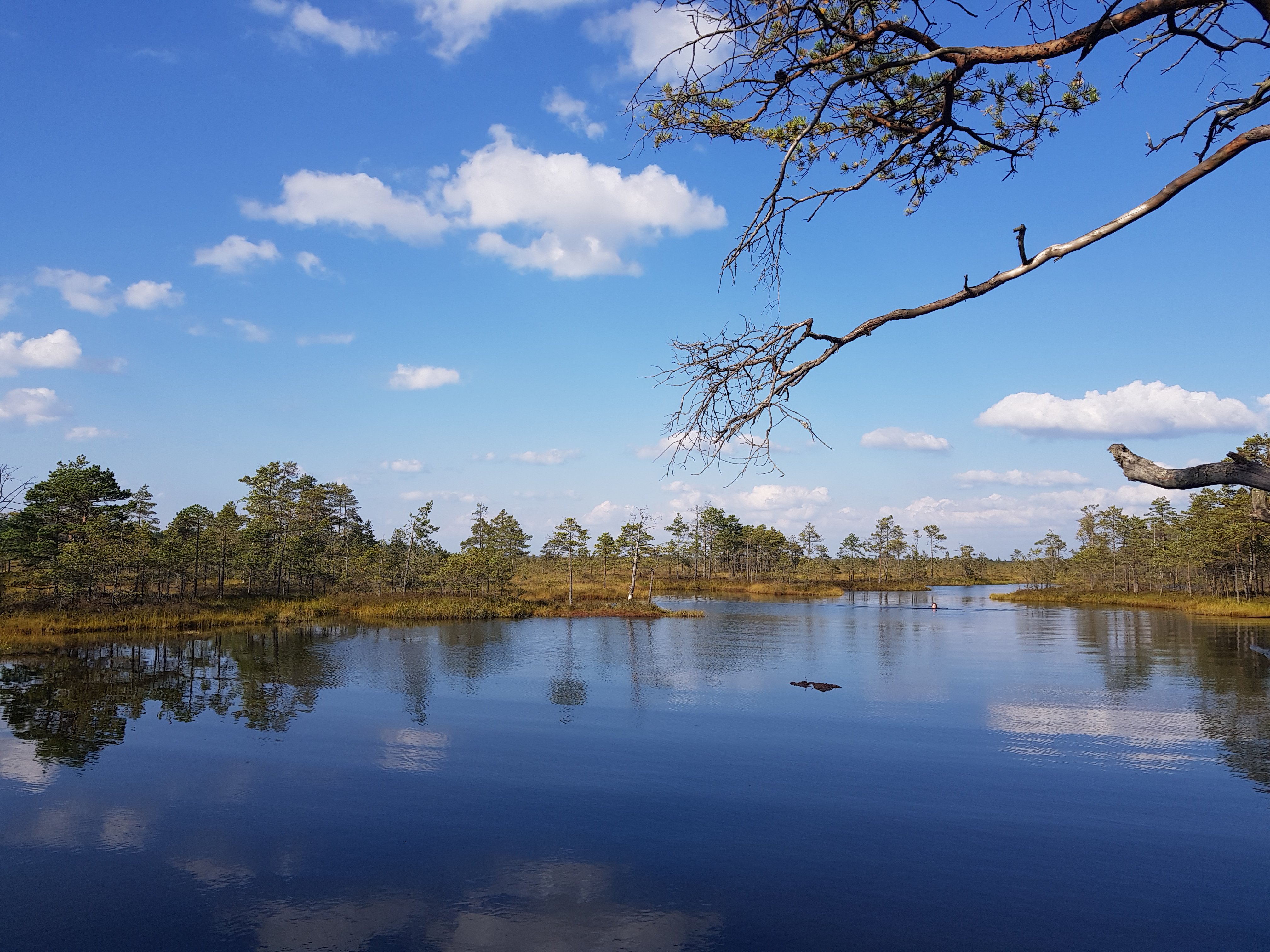 20250910_161614 (002).jpg