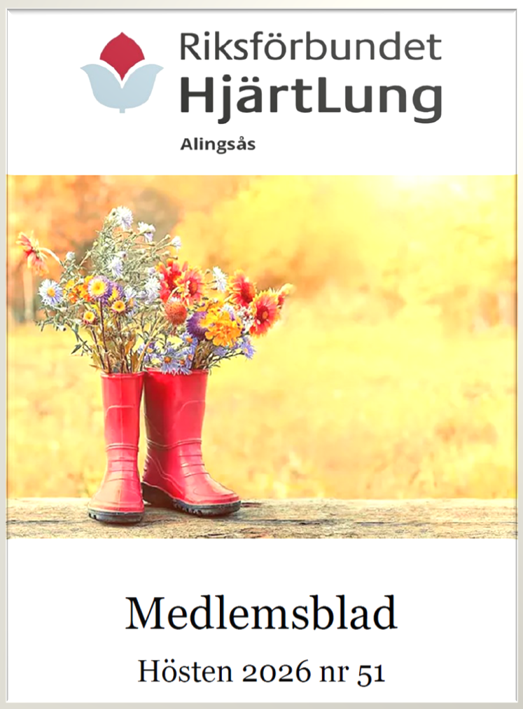 Framsida medlemsblad 51 med ram.png