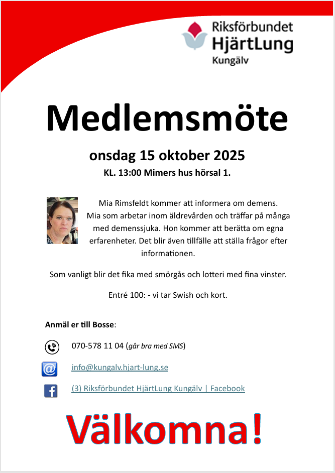 Skärmbild 2025-10-07 131805.png