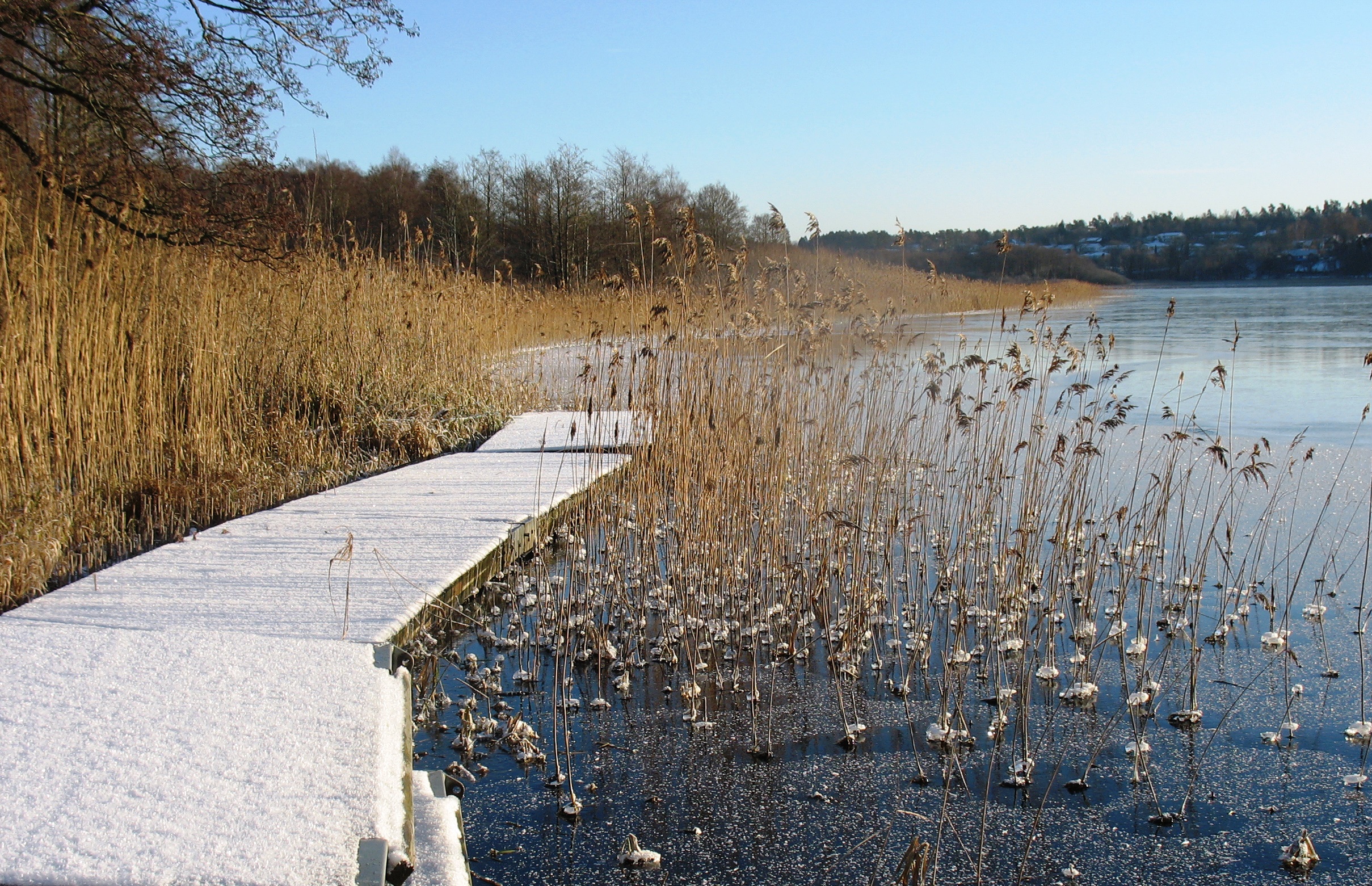 Brygga med snö - beskuren.jpg