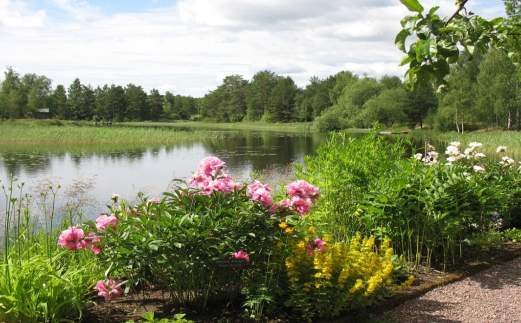 Framsida blommor.jpg