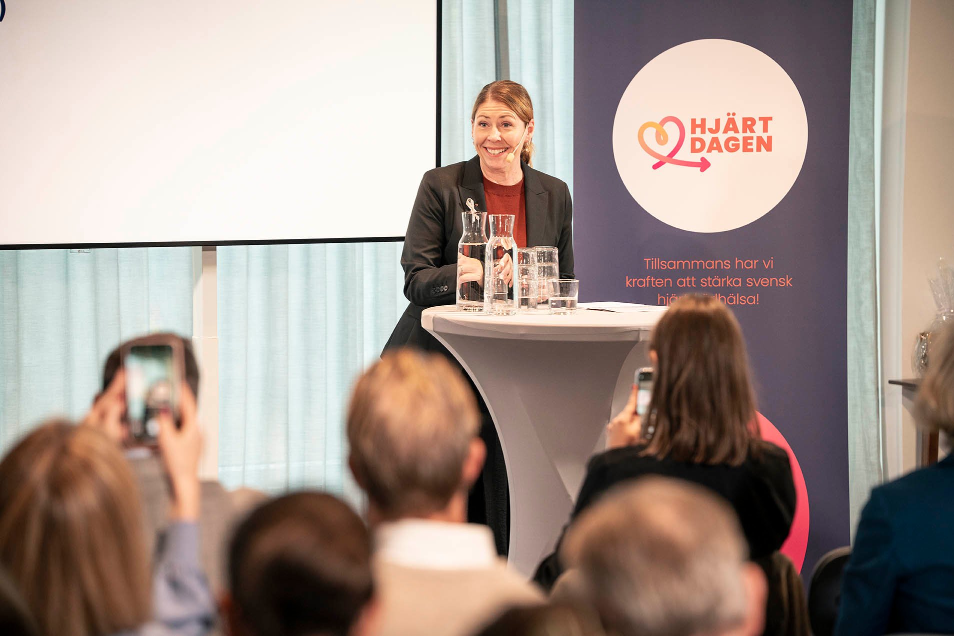 Sjukvårdsminister_Elisabet_Lann.jpg